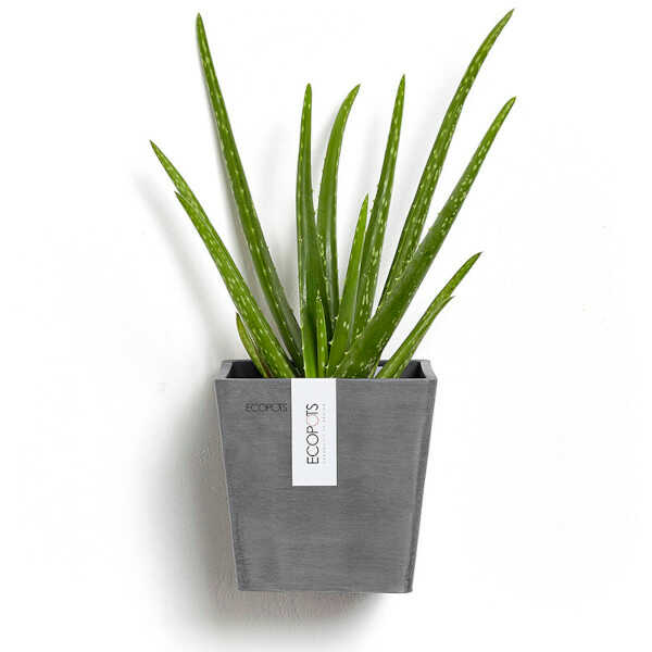 Manhattan Wall Planter Colour Grey